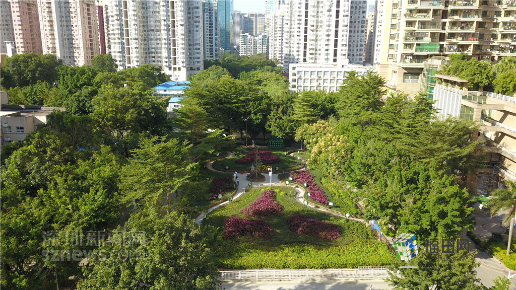  鵬城眼|我的實(shí)事我做主！5年辦理“民生微實(shí)事”6774件}